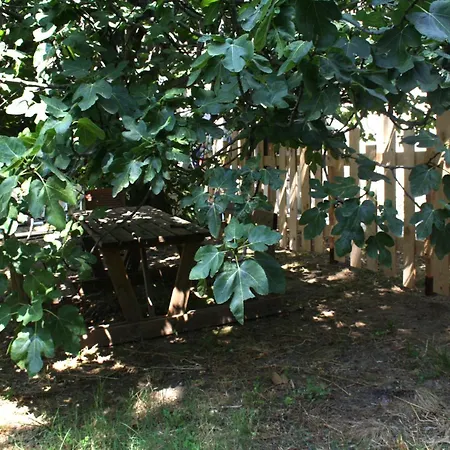 2 En Bois Avec Acces Piscine Nimes